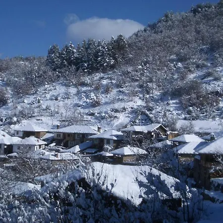 Eco Villas