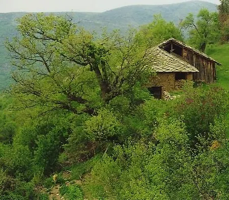 Eco Villas *